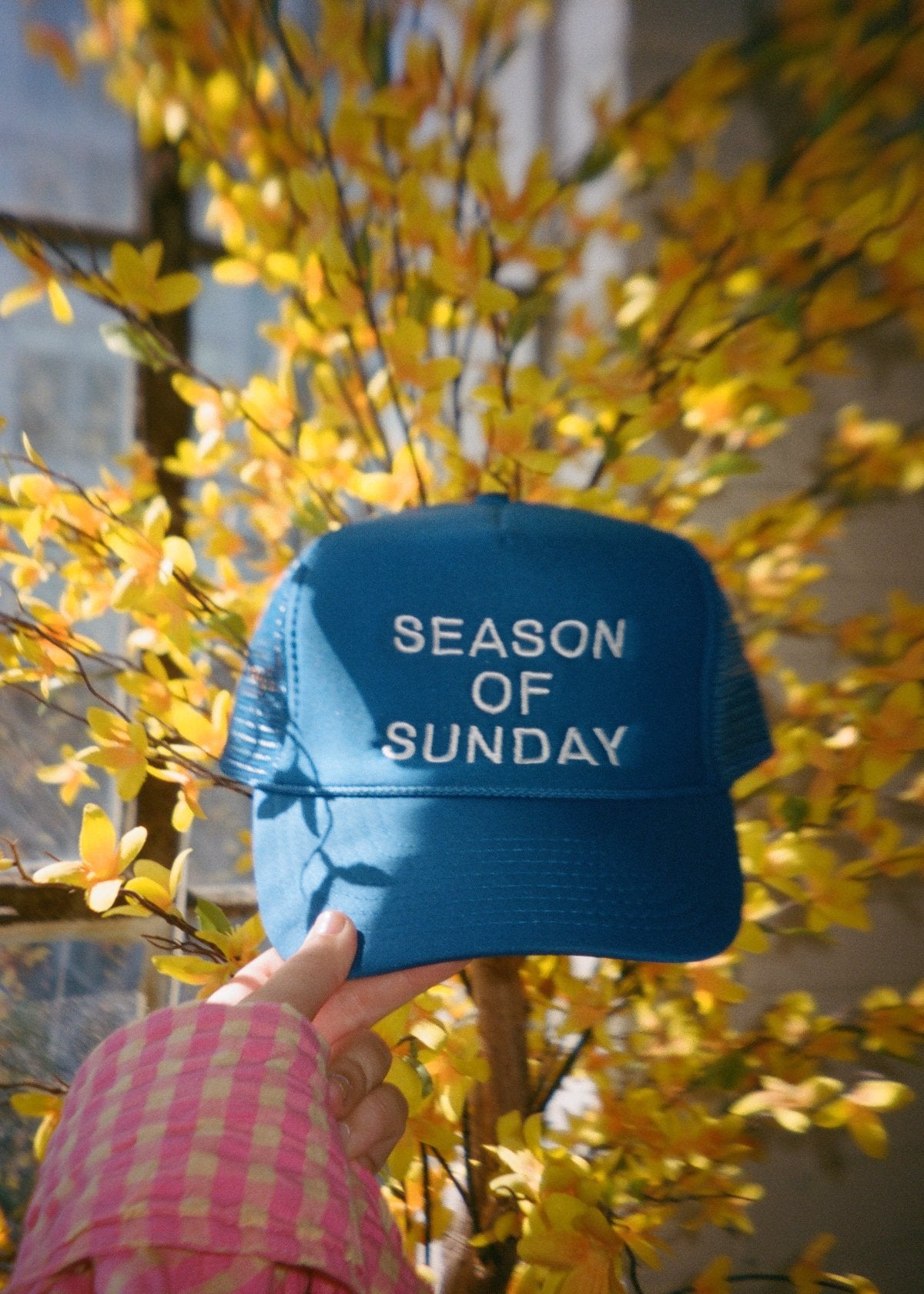 Mental Health Hoodies, Shirts, and Hats | Season of Sunday